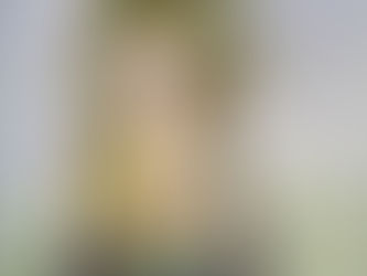 Der ✨ energetische✨ Besuch!