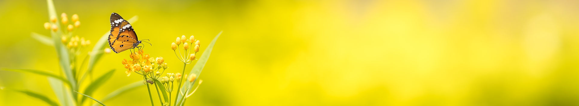 AdobeStock_335616563.jpeg