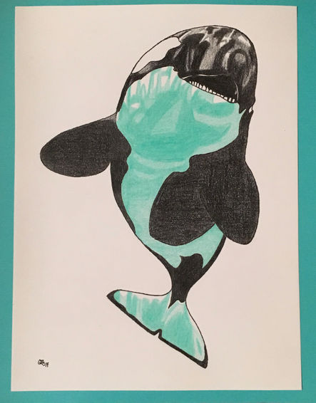 Orca