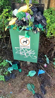 Image of over-flowing dog bin in the Parish