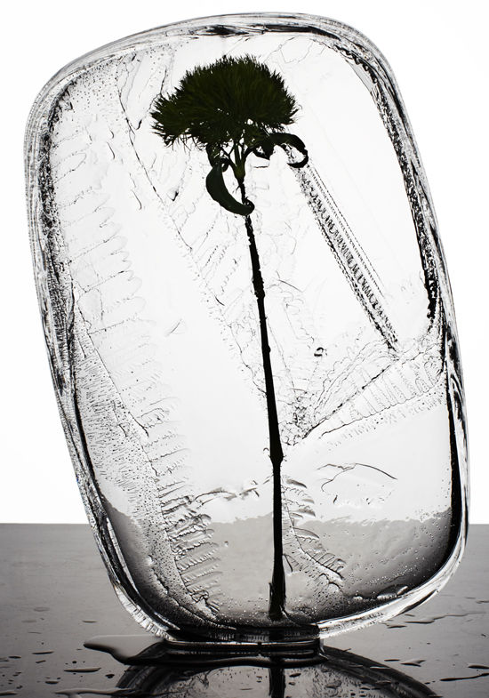 Ice-Flower-3
