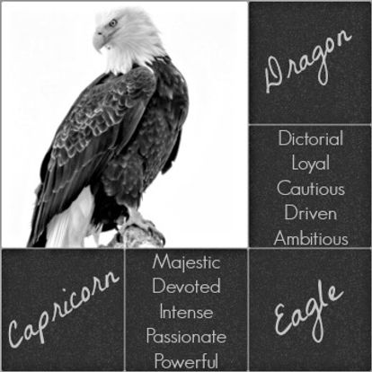 Capricorn - Eagle Spirit