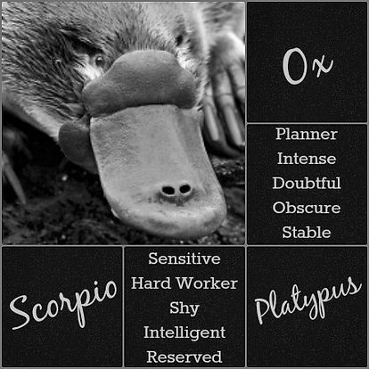Scorpio - Platypus Spirit