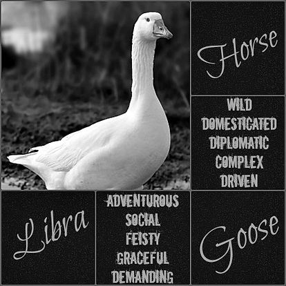 Libra - Goose Spirit