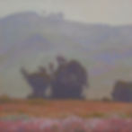 Lifting 30x30 (1).JPG