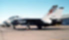 F-14A+ Tomcat of VF-74 Be-Devilers