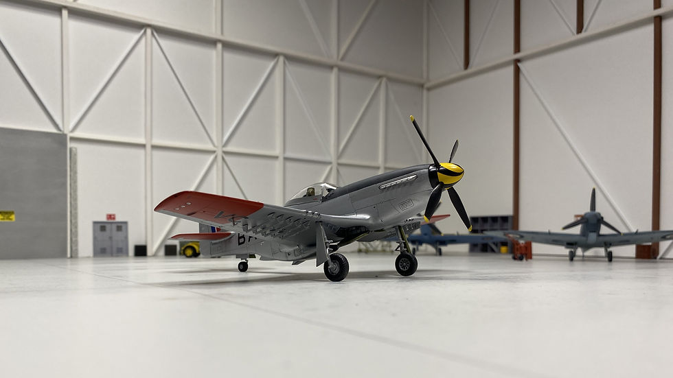 1/48th Hasegawa P-51D Mustang