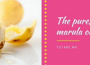 Beneficios del aceite de marula