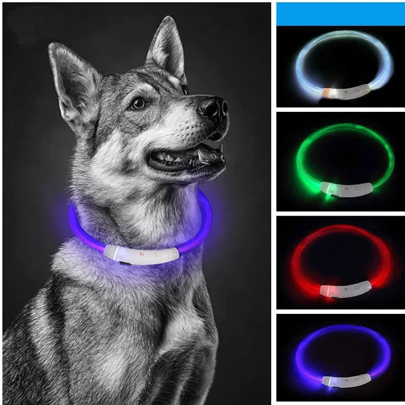 Miniatura: LED Dog Collar – USB Rechargeable Luminous Pet Collar with Adjustable Glow for S