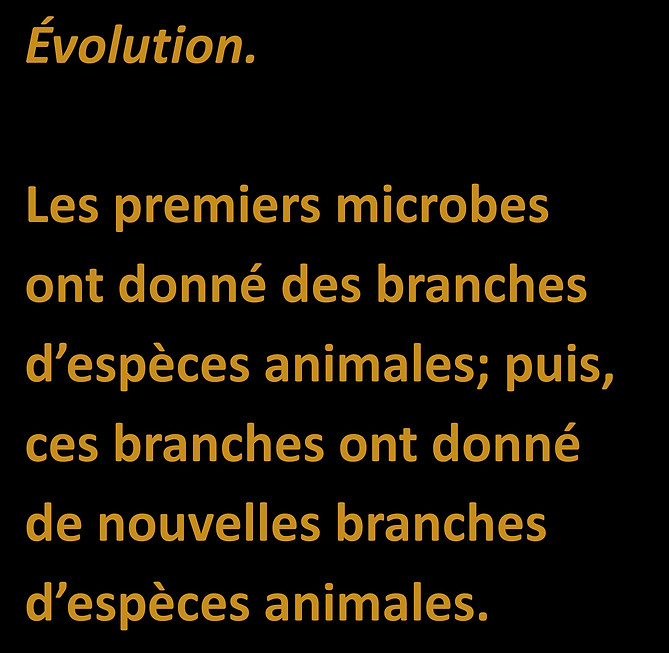 WebsiteJPEGS2.docx (1)-page-039.jpg