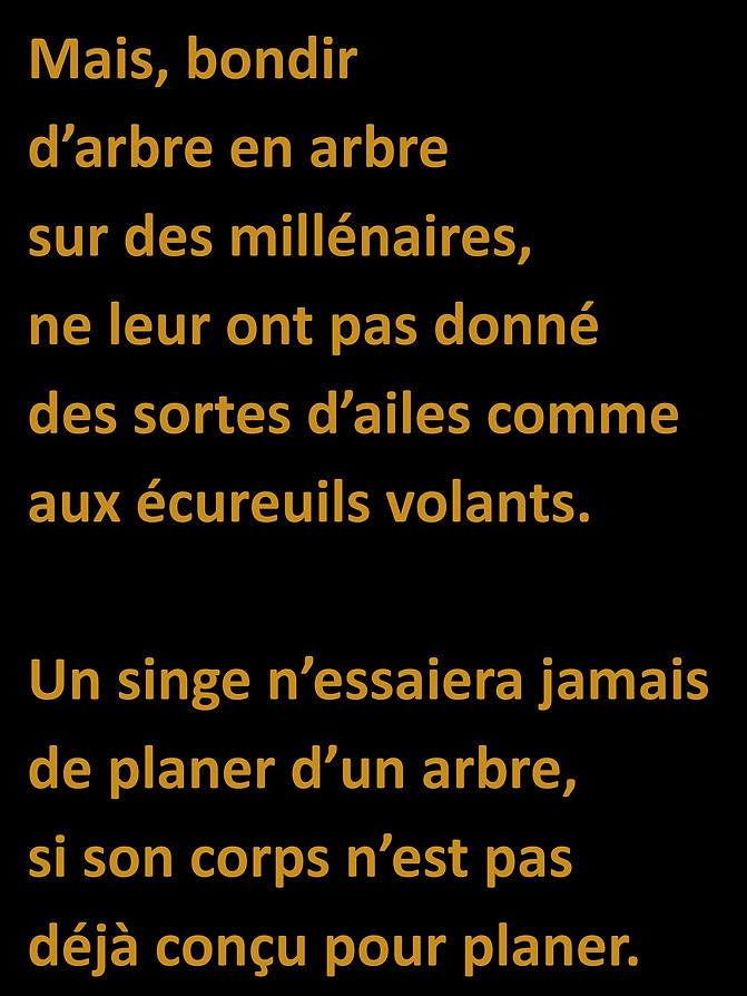 WebsiteJPEGS2.docx (1)-page-026.jpg