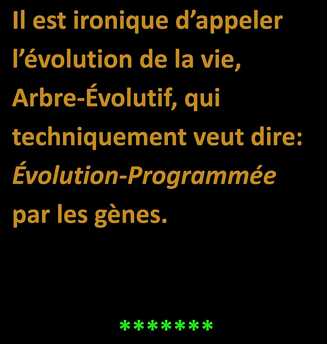 WebsiteJPEGS2.docx (1)-page-044.jpg