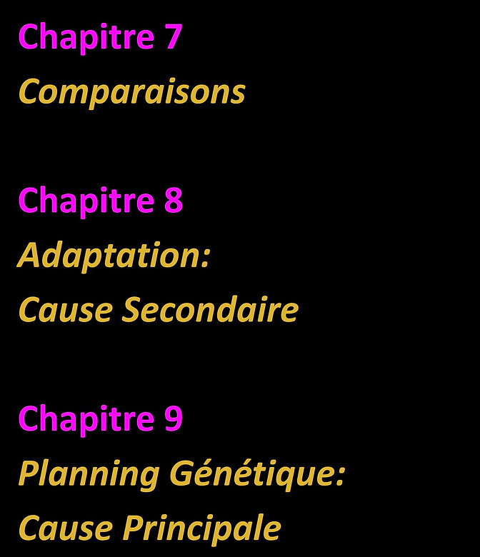 WebsiteJPEGS2.docx (1)-page-070.jpg