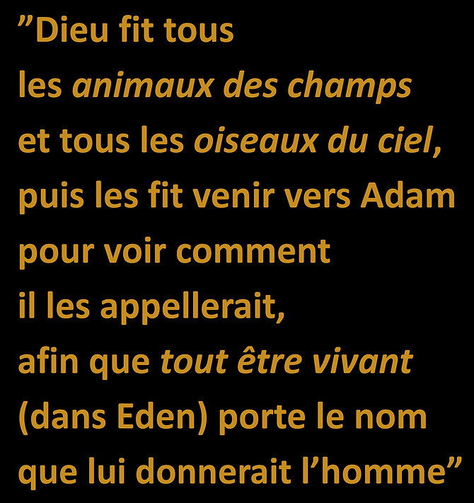 WebsiteJPEGS2.docx (1)-page-064.jpg