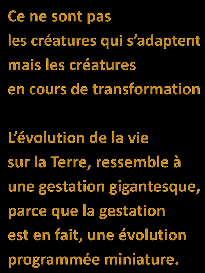 WebsiteJPEGS2.docx (1)-page-037.jpg