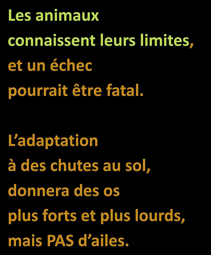 WebsiteJPEGS2.docx (1)-page-027.jpg