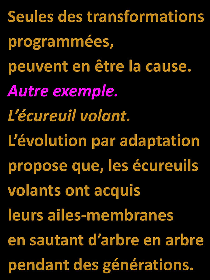 WebsiteJPEGS2.docx (1)-page-024.jpg