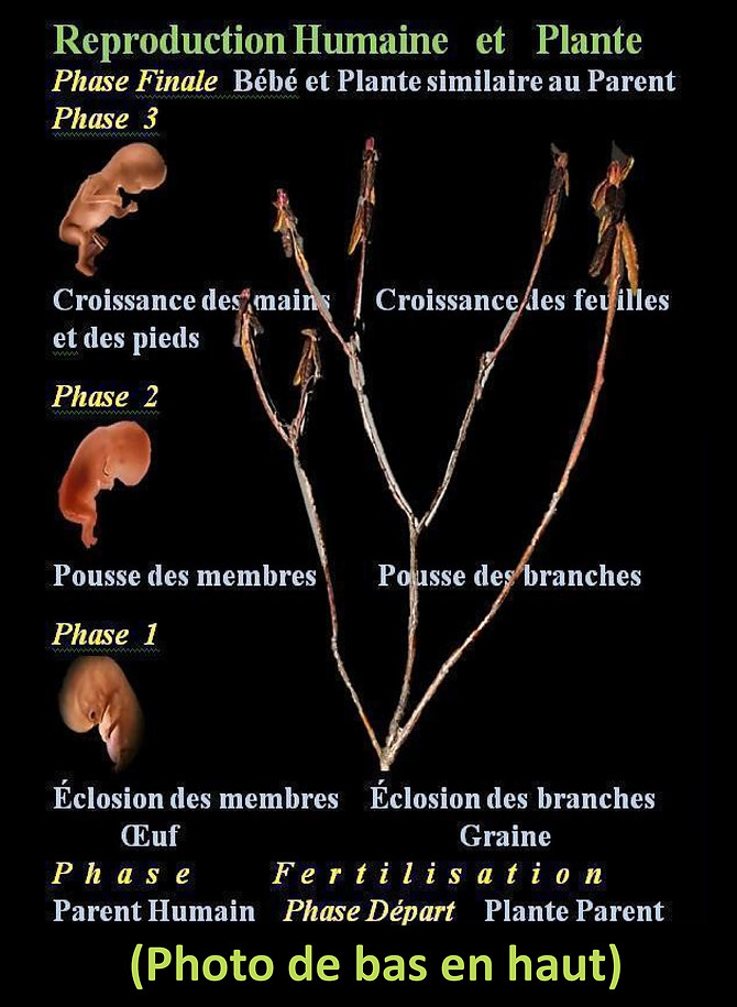 WebsiteJPEGS2.docx (1)-page-040.jpg