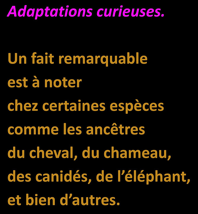 WebsiteJPEGS2.docx (1)-page-045.jpg