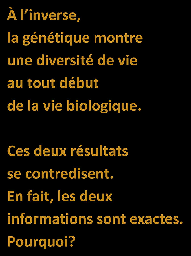 WebsiteJPEGS2.docx (1)-page-018.jpg