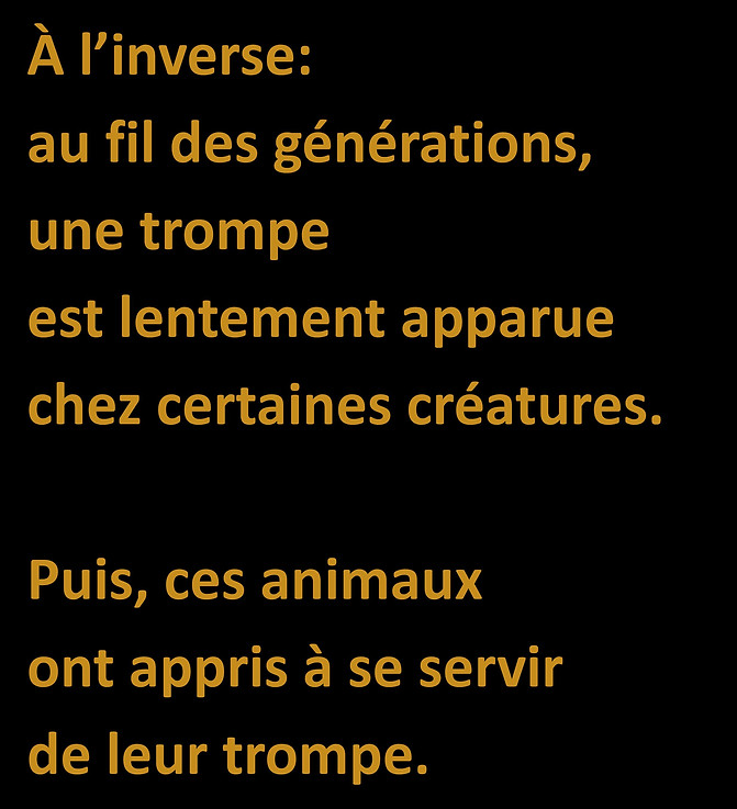 WebsiteJPEGS2.docx (1)-page-033.jpg