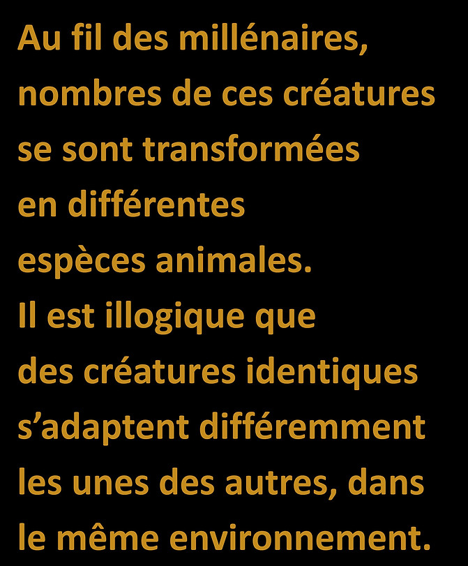 WebsiteJPEGS2.docx (1)-page-023.jpg