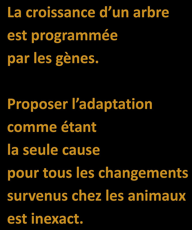 WebsiteJPEGS2.docx (1)-page-043.jpg