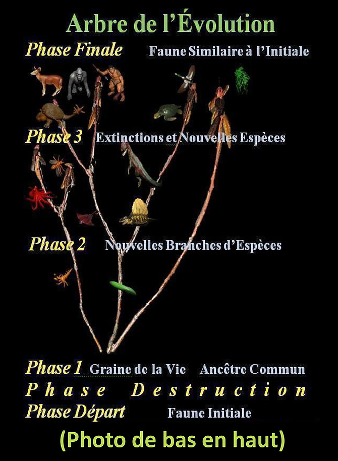 WebsiteJPEGS2.docx (1)-page-041.jpg