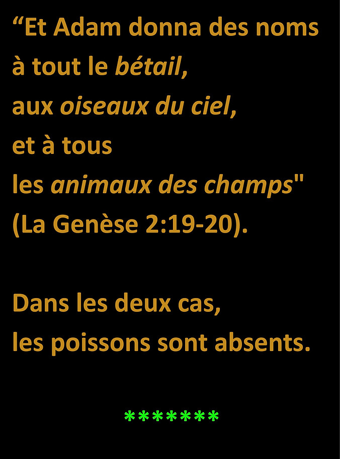 WebsiteJPEGS2.docx (1)-page-065.jpg