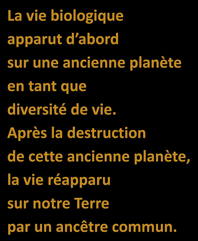 WebsiteJPEGS2.docx (1)-page-019.jpg