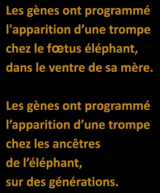 WebsiteJPEGS2.docx (1)-page-035.jpg