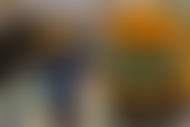 Safely Managed Sanitation: Introducing the new WHO learning package