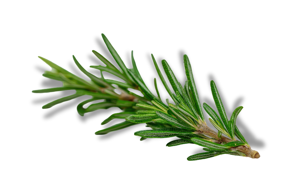 Rosemary.png