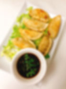 Fried Dumpling