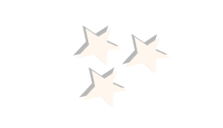 wedding website!!!.png