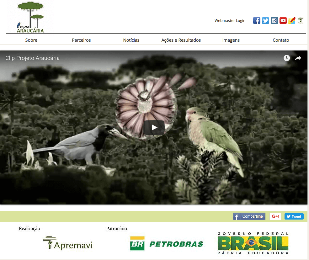 pedromascarin.com.br