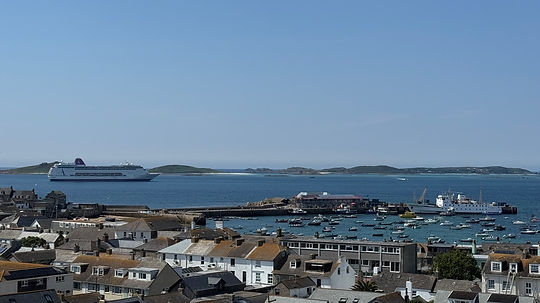 Homes harbour & cruise ship.jpeg