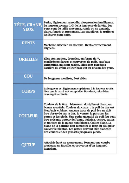 STANDARD BIEWER TERRIER 2025-2.jpg