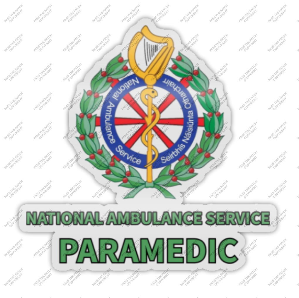 NAS Paramedic Intricate Window Sticker (Interior)