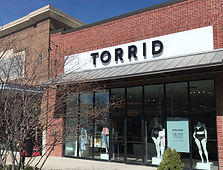 Torrid-Cropped-Website.jpeg