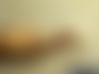 抗ウイルス塗料