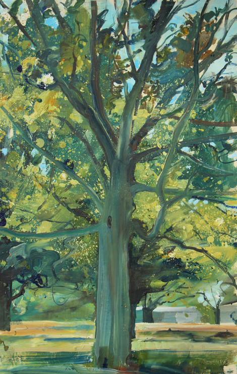 tree study #9