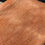 Thumbnail: Walnut Rain - Merino Wool Blanket