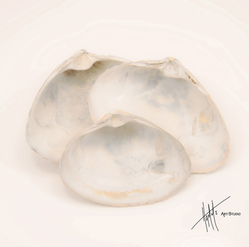 W114S Abstract 3 Shells | Hamm's Art Studio