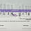 Thumbnail: Sizing Kits
