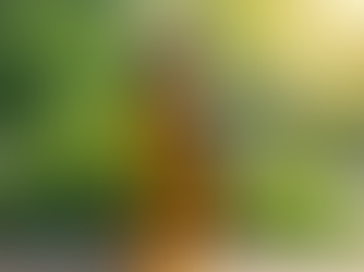 Harness Nature's Power with Rio Oil Solutions