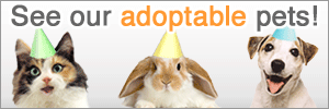 large_rectangle_pet_list.gif