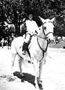 Equine Photographer Alayna Randall Fyvie Studios burlington Ontario