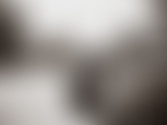 Photographing Champions at Angelstone: A World-Class Grand Prix Experience in Erin, Ontario