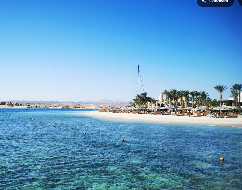marina di Port Ghalib.jpg.png